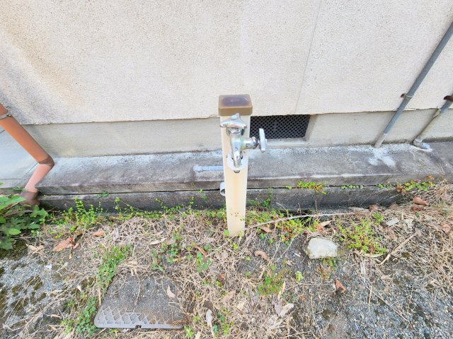 丸山住宅5号の庭