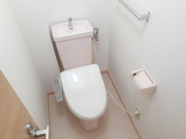 フリーダム中村のトイレ
