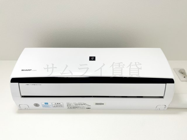 ヴェルドミールのその他