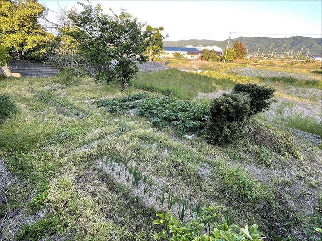【庭】の画像