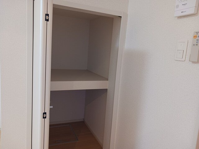 フランセス高柳　Ⅱの収納|小物を収納するのに便利です