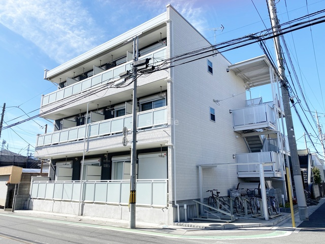 リブリ・盆栽