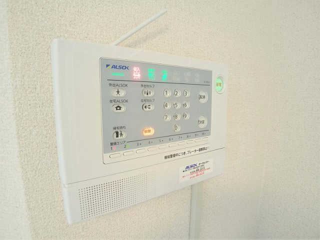 レオネクストコスモスⅡのその他