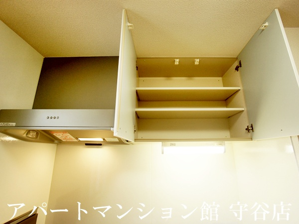 アルティスタBの収納