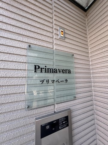 プリマベーラのその他