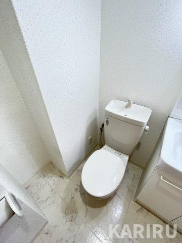 ソレアード京橋のトイレ|同物件別部屋の写真です