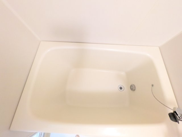 グリーンハイム飯田の浴室