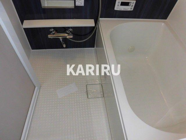 グランパシフィック田島Luxeの浴室