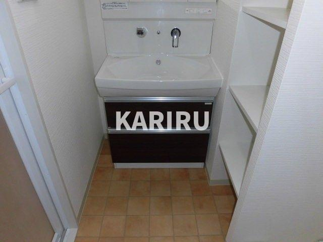 グランパシフィック田島Luxeの洗面所