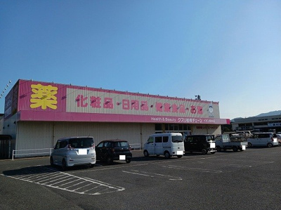 【周辺】 | ウッドスプリング山根　Ｂ | クスリ岩崎チェーンイオン柳井店まで900m