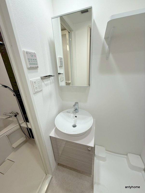 エスリード難波ALLURE　仲介手数料無料の洗面所