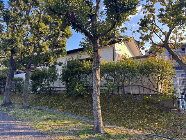 建物裏側