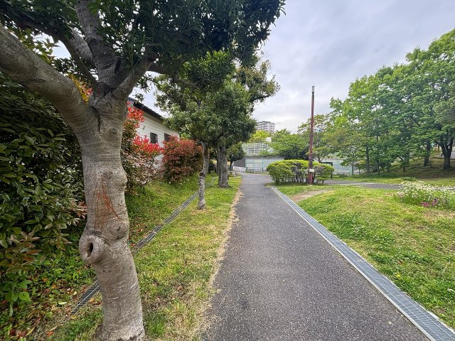 対象不動産裏の公園