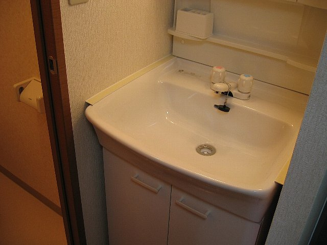 グランツIIIの洗面所
