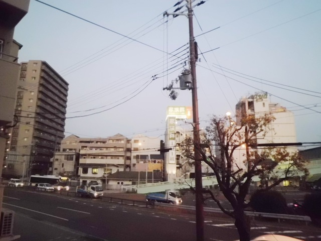 ミストラル摩耶の展望