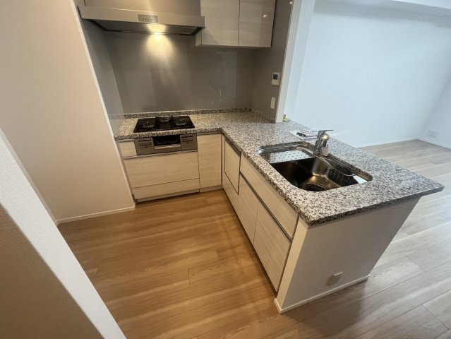 THE ASAKUSA RESIDENCEのキッチン