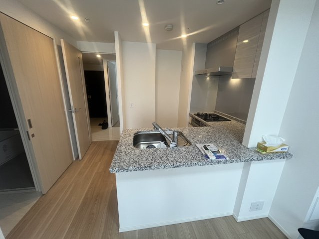 THE ASAKUSA RESIDENCEのキッチン