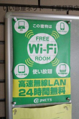 ビラヤワタの周辺