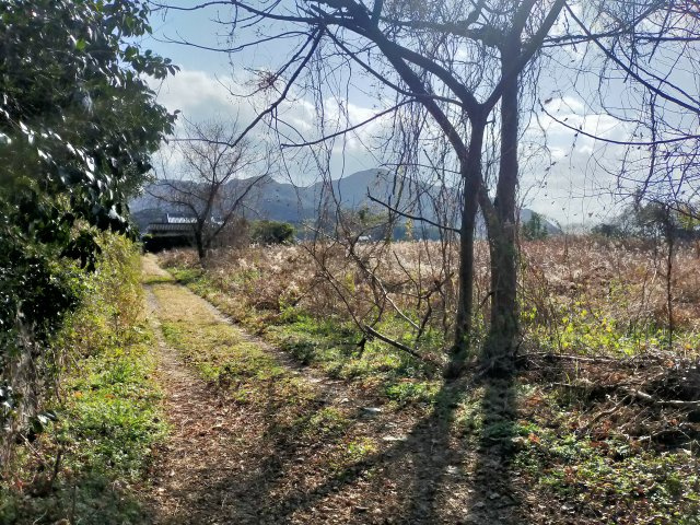 指方町土地の外観