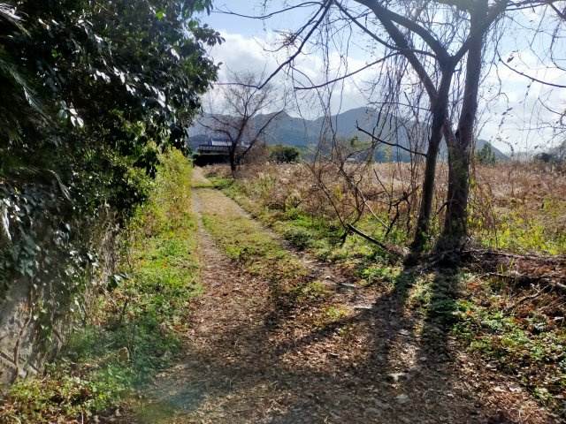 指方町土地の外観