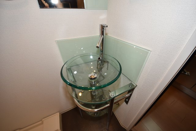 セレニテ本町エコートの洗面所