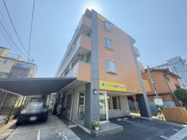 アピス