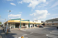 タジマ・田島まいすと店まで245m
