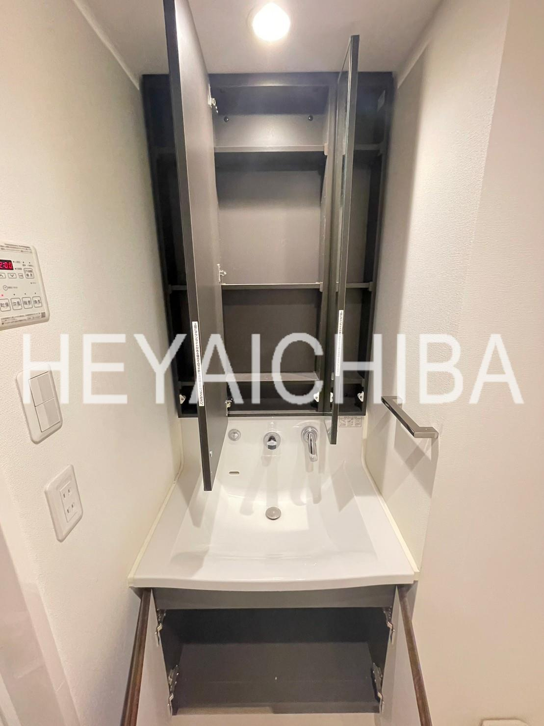 LEXE入谷(レグゼイリヤ)の洗面所|収納