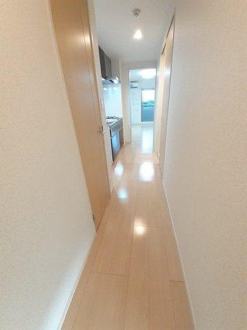 ルミリクスのその他