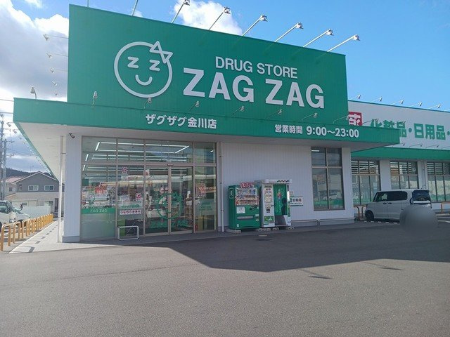 シンフォニーⅣの周辺|ザグザグ金川店まで1200m