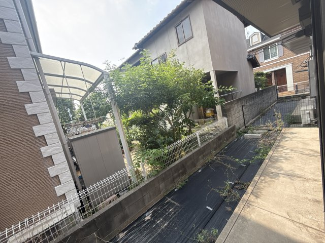 ダンディライオンの庭