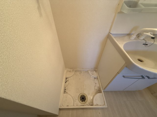 ダンディライオンのその他