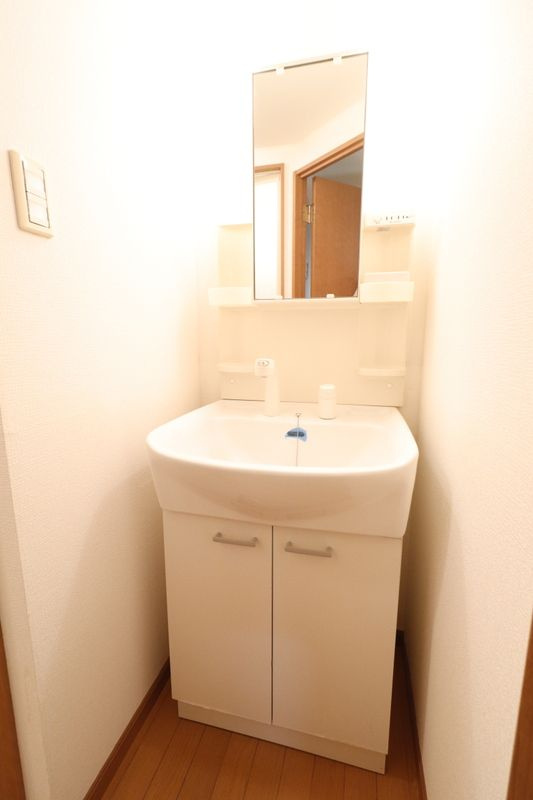 ペイサージュ別府南 226の洗面所