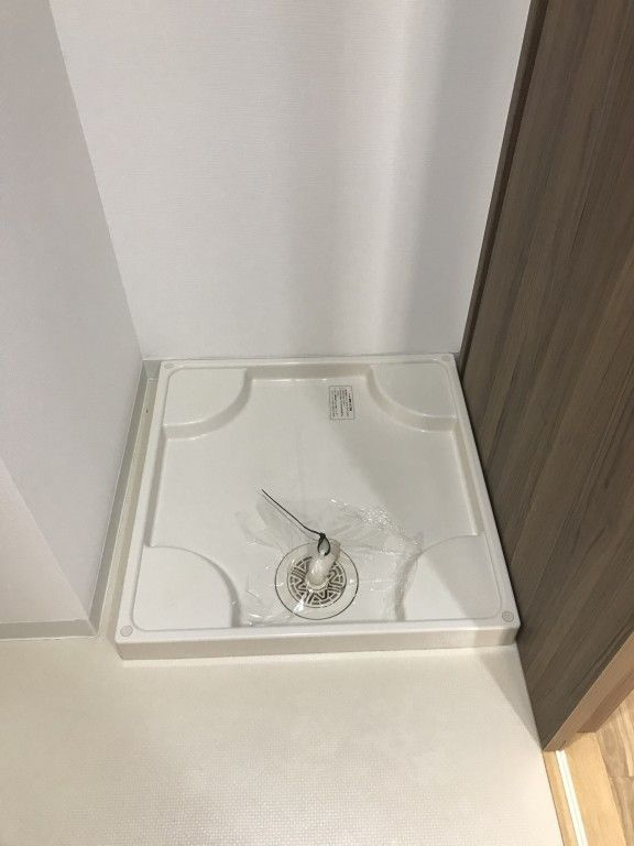 シュロスフォンコウナンのその他