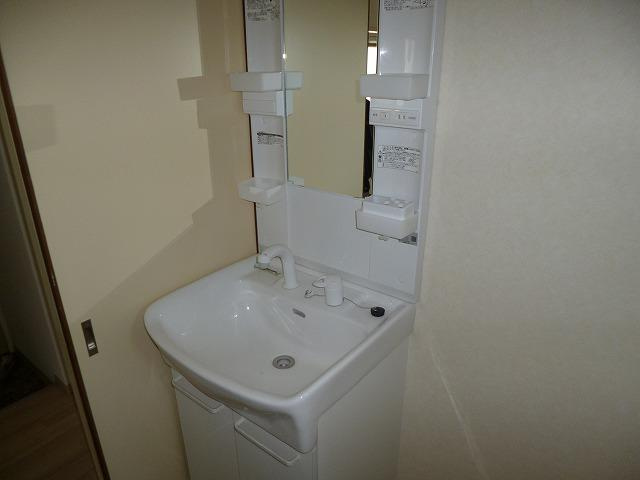 メゾン錦の洗面所