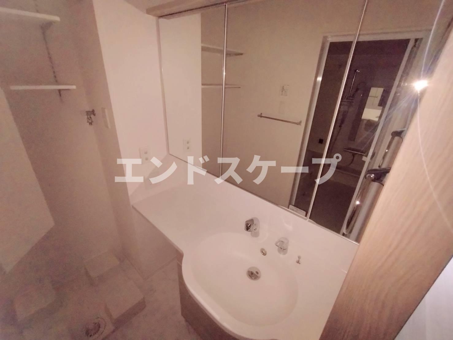 プラトンの洗面所|高崎、前橋のお部屋探しはエンドスケープまで！お客様の理想お聞かせ下さい♪