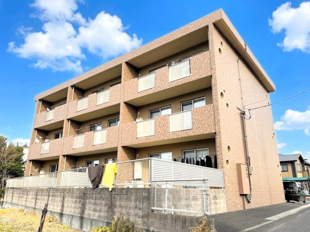 ゴールドレジーナⅡ
