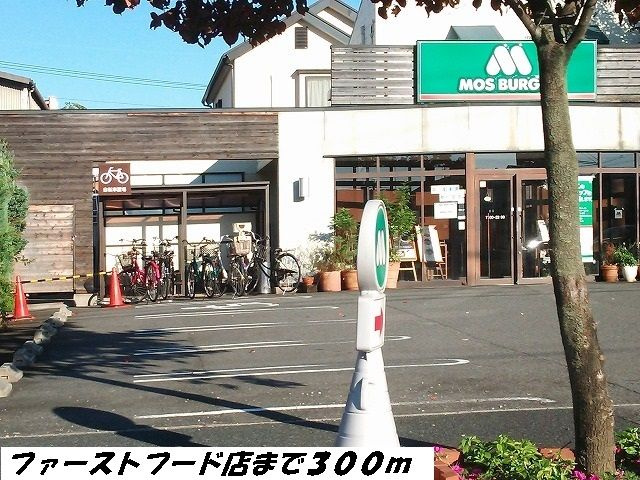 リルシア　エルのその他