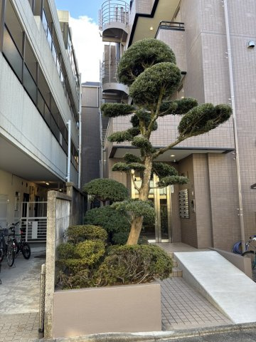 渋谷区本町３丁目の賃貸マンションのエントランス|建物の内部です