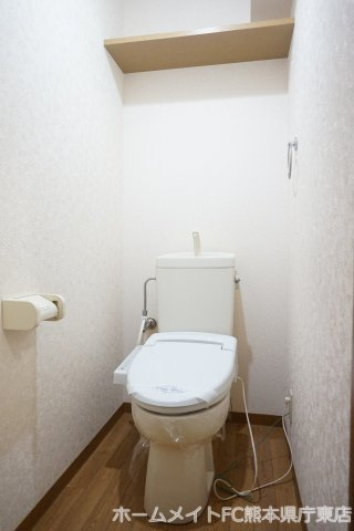 熊本市南区出仲間４丁目の賃貸マンションのトイレ