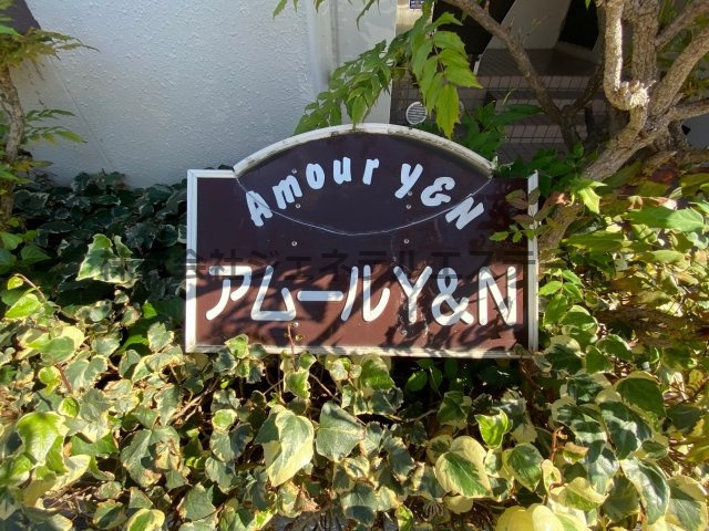 アムールY＆Nのその他