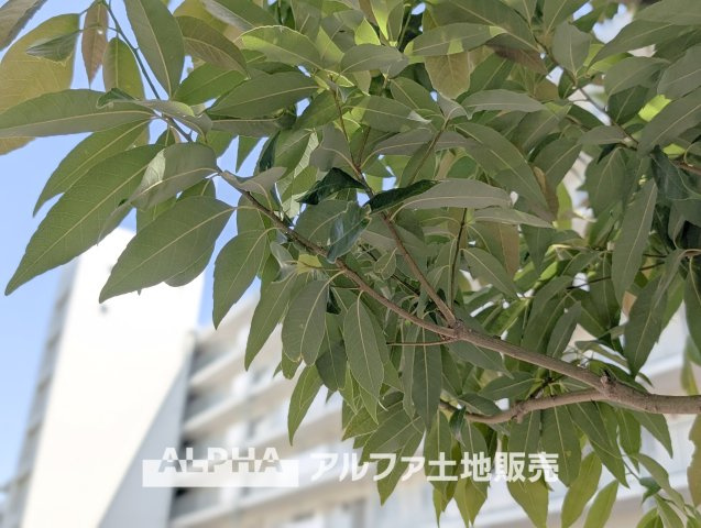 東大和グリーンタウンの外観|【Blue Moment】◆空を感じるひととき◆
空を見上げる時間が、暮らしに少しの余白をつくる。そんな穏やかな瞬間がここにある。