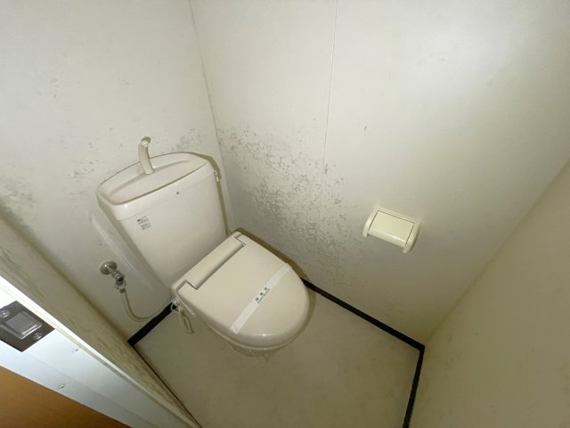 グリーンマンション雅ＡＢのトイレ