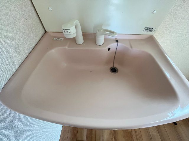 奥田本町貸家の洗面所