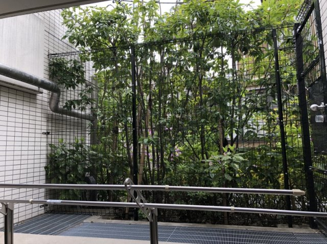 グランドメゾン新宿弁天町の展望