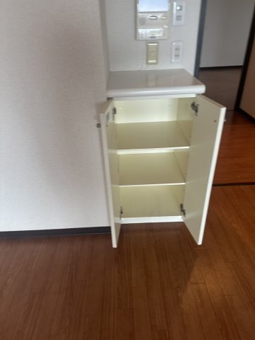 シティハイツ根津の収納