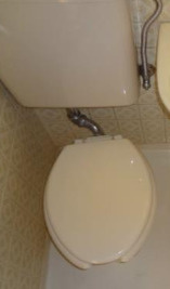 パールシティ中野のトイレ|落ち着いたトイレです