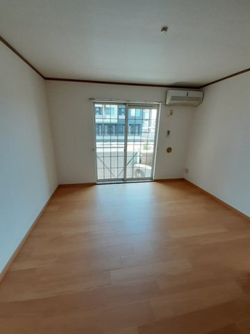 ドルフ・サンフラワーの展望
