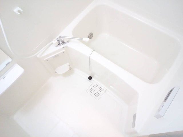 レオネクストえいじゅの浴室