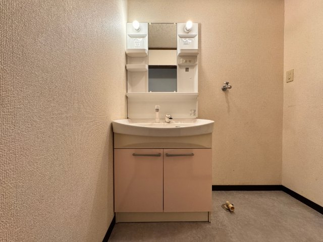 ホワイトコーポⅡの洗面所